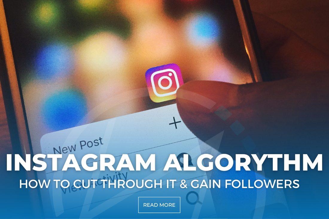 How to Cut Through the Instagram Algorithm & Grow your Following on Instagram